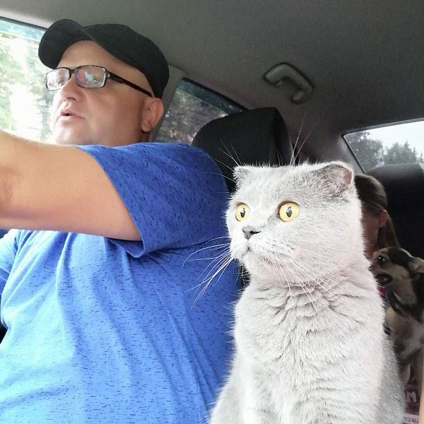 Владимир Казеко