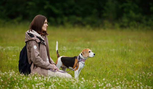 Жить, несмотря ни на что